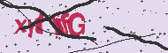 Captcha認証コード
